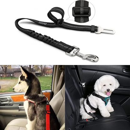 Dog Seat Belt