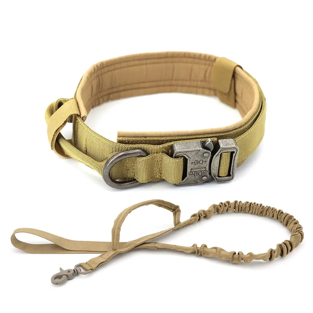 Dog Collar + Matching Leash