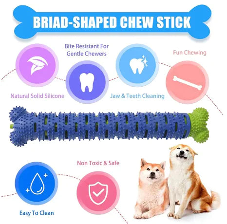 Dog Molar Stick