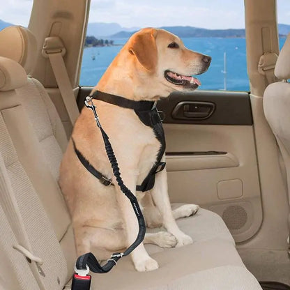 Dog Seat Belt