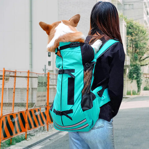 Dog Backpack Carrier