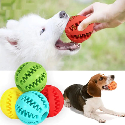 Dog Ball Chew Toy