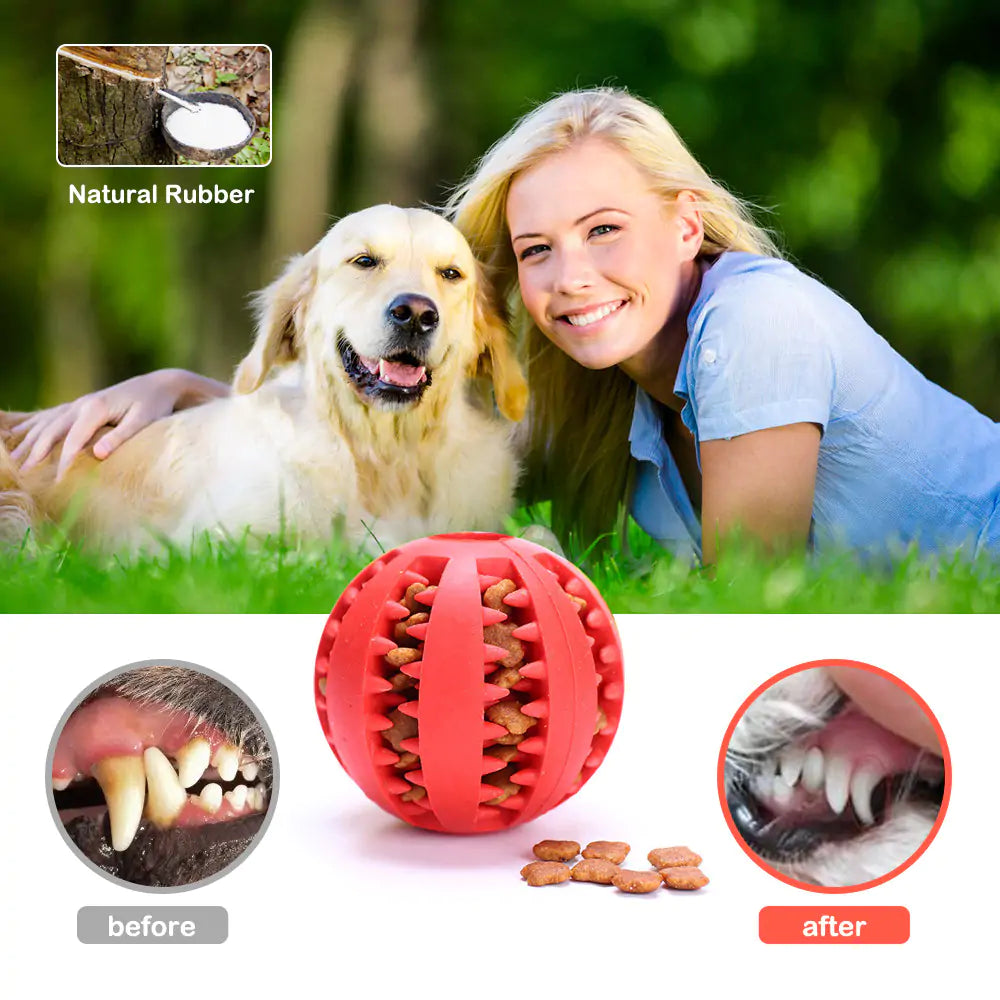 Dog Ball Chew Toy