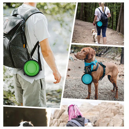 Collapsible Pet Food Bowl