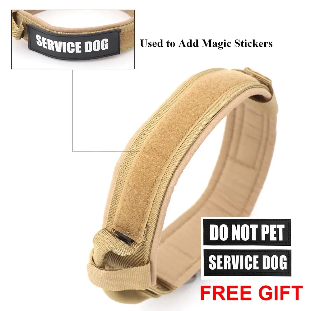 Dog Collar + Matching Leash